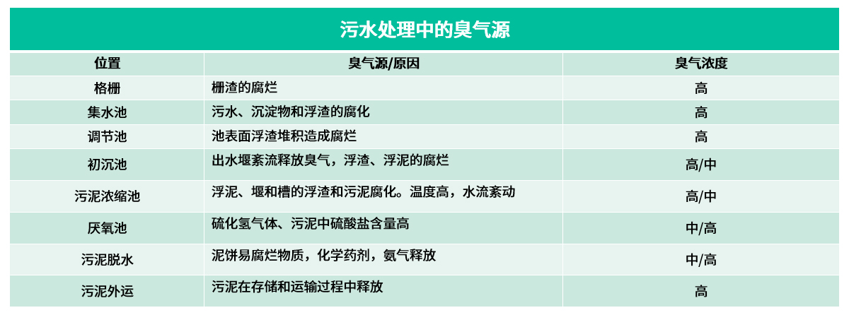 11排放標準