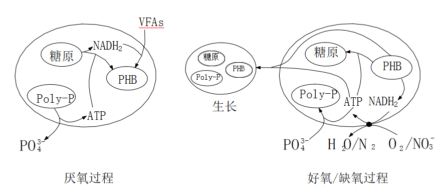 大張實業總磷去除